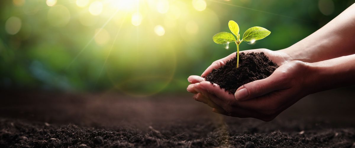 Wakefield sustainability